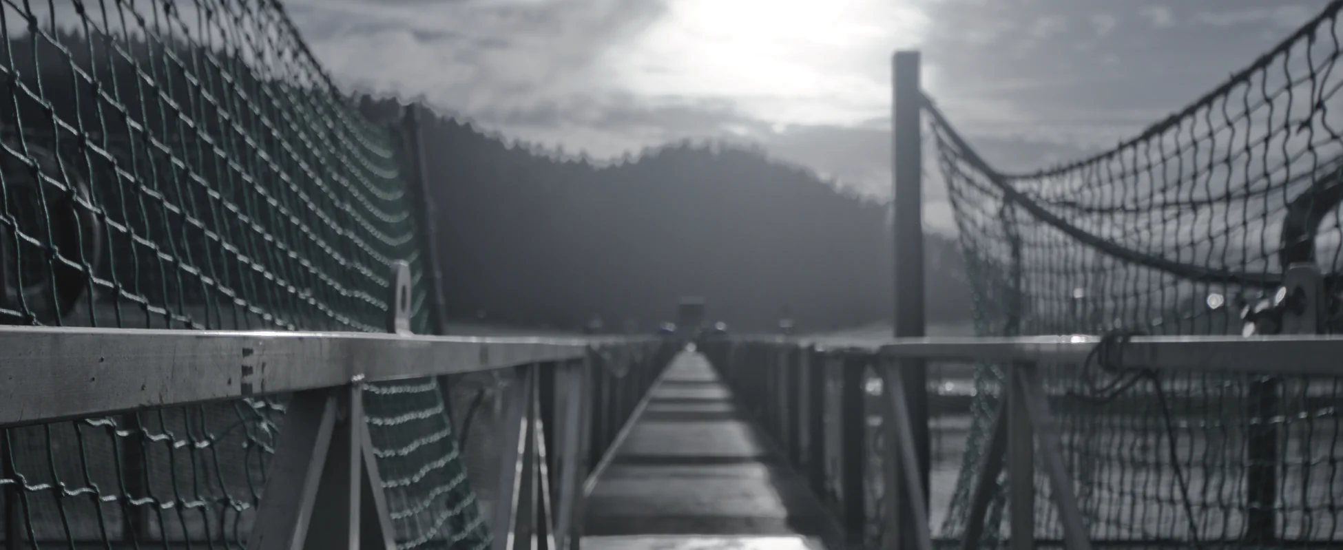 I vantaggi di Conkilia: molto più che un prodotto